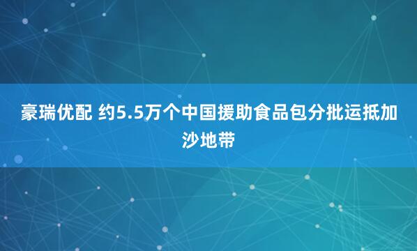 豪瑞优配 约5.5万个中国援助食品包分批运抵加沙地带